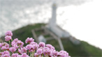 Rosie and Derek near South Stack