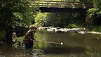 Measuring River Speed