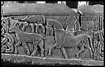 Govan Sarcophugus