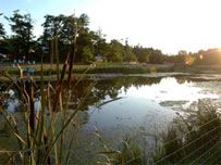 Latitude