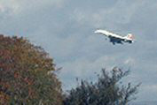Coming into land