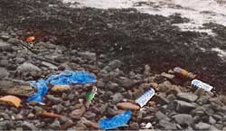 Beer cans and plastic bags washed up on the Strangford Lough shoreline