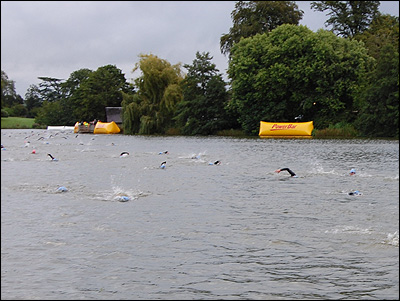 Swimmers