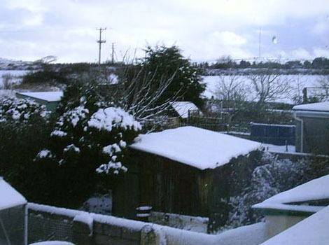 A snowy garden