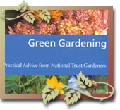 Green Gardening