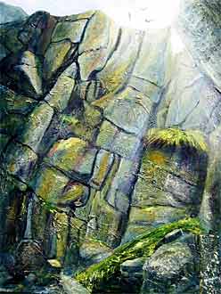 Sue Nichol