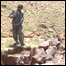 تيږې ماتوونکى