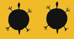 Blackfoot Tribe