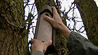Nest Box by Location