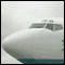 Airline