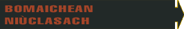 Bomaichean Nuiclasach