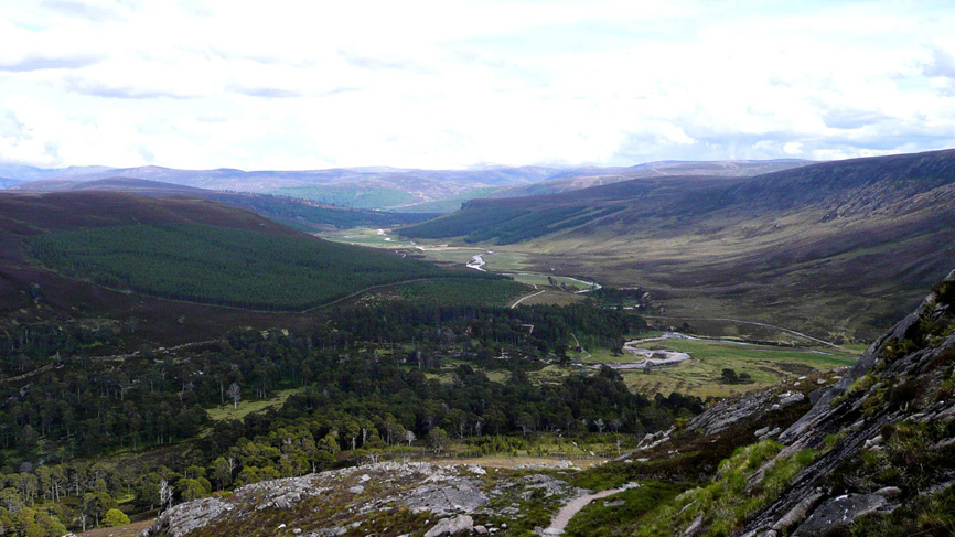 View from hill down to Glen Lui