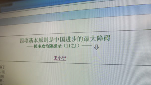 王小寧網文