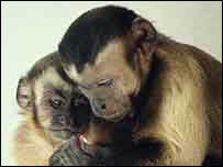 بندر