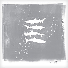Review of Shark Remixes