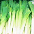 Leeks