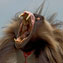 Epic Natural History