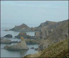 Hartland coastline