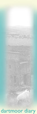 Wheal Betsy
