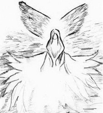 Fallen