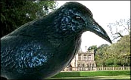 The Rooks of Newstead Abbey