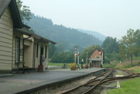 Trên Stem