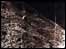 First image beamed back from the moon