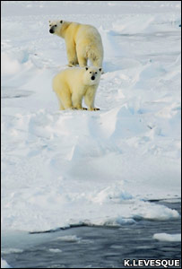 Foto: Keith Levesque