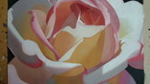Single rose Single rose
