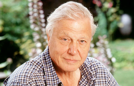 Attenborough's Life Stories