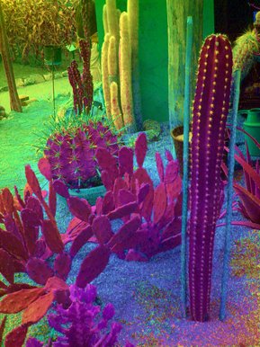 spikey stuff