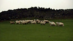 Snowdonia - Farming and Tourism
