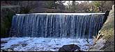 The Waterfall, Bradgate Park 