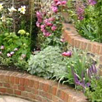 Raised Beds