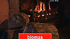 Biomas
