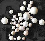 Some of the freshwater pearls collected by Jim Sloan