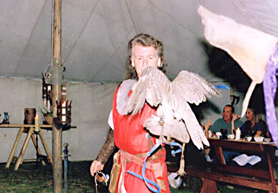 falconry