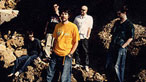 Super Furry Animals