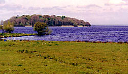 Looking across Lough Neagh to Coney  Island