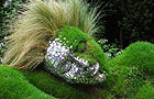 Green lady in the 4head garden