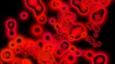 Blood cells