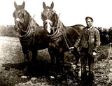 Image of farm lad with horses and plough