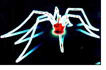 Daddy Longlegs - on the prowl