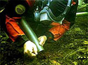 Image of a diver searching a loch bed