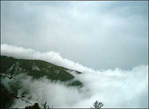 گرگان