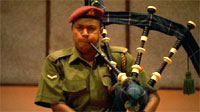 Omani piper