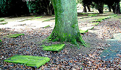 the horizontal headstones  of Gracehill
