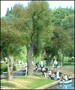 The park by the river in Warwick