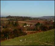 The view to Aylesbeare