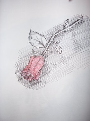 Imaginary rose